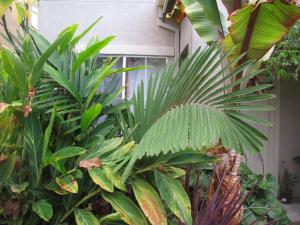 IMG_3486sml.JPG